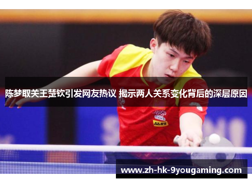 陈梦取关王楚钦引发网友热议 揭示两人关系变化背后的深层原因