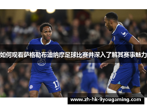 如何观看萨格勒布迪纳摩足球比赛并深入了解其赛事魅力